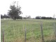 144 Old Paradise Road, Sheffield TAS 7306