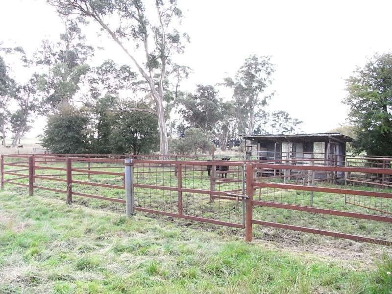 144 Old Paradise Road, Sheffield TAS 7306
