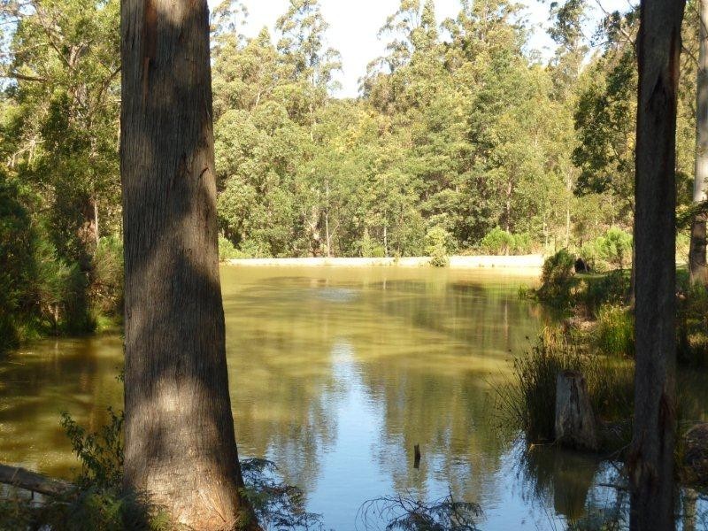 153 Nowhere Else Road, Nowhere Else, Sheffield TAS 7306