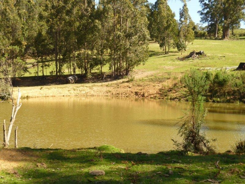 153 Nowhere Else Road, Nowhere Else, Sheffield TAS 7306