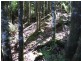 705 Cradle Mountain Road, Erriba TAS 7310