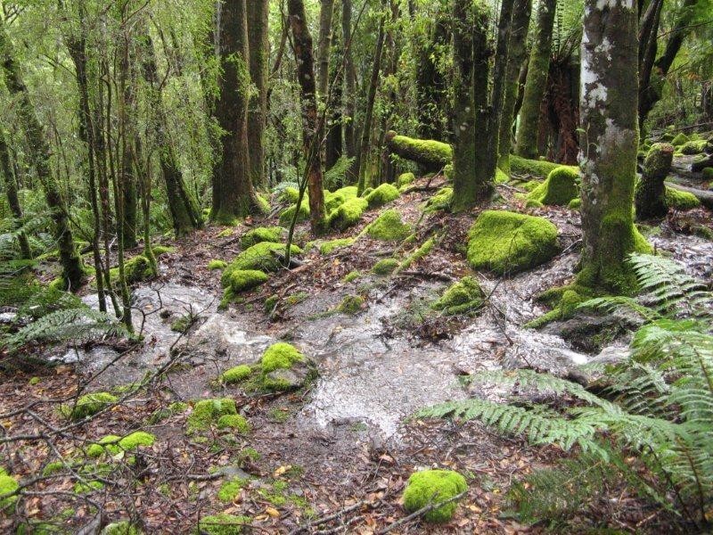 705 Cradle Mountain Road, Erriba TAS 7310