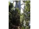 705 Cradle Mountain Road, Erriba TAS 7310