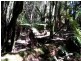 705 Cradle Mountain Road, Erriba TAS 7310