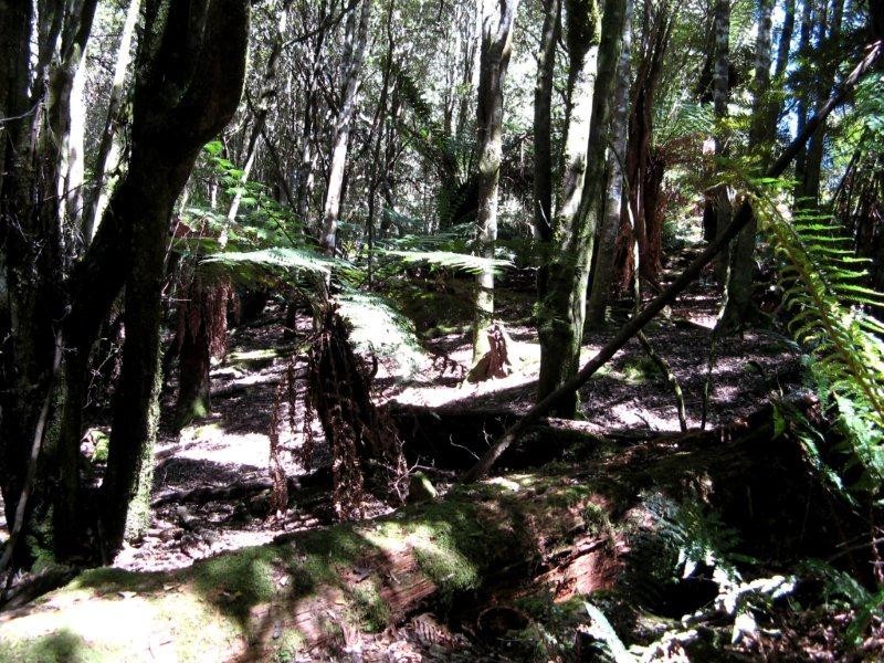 705 Cradle Mountain Road, Erriba TAS 7310