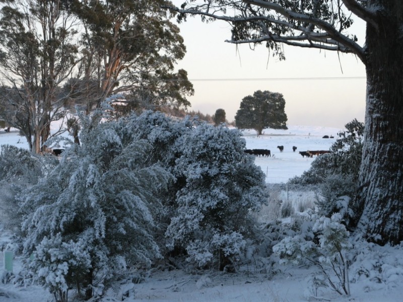 705 Cradle Mountain Road, Erriba TAS 7310