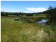 59 Morgan Road, Nook TAS 7306