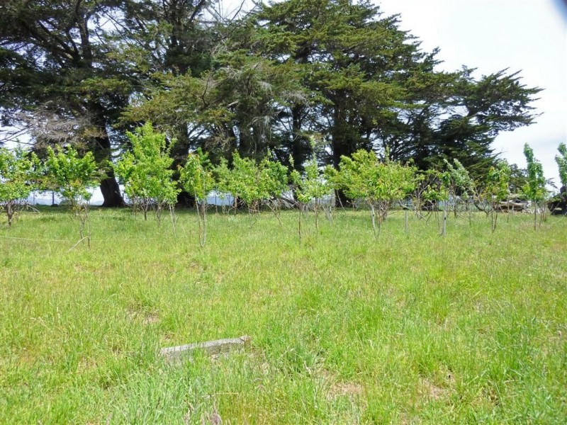 286 Lower Barrington Road, Lower Barrington TAS 7306