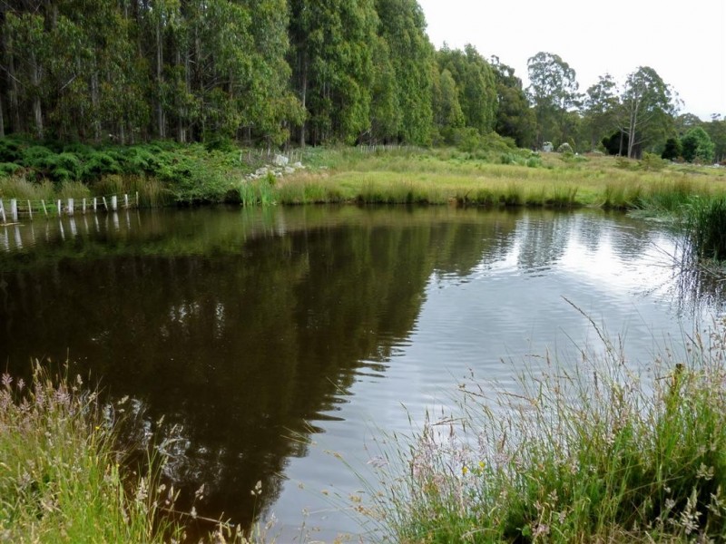 12 Perkins Road, Sheffield TAS 7306