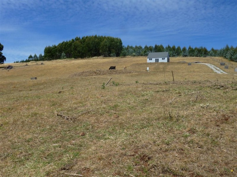 85 Billings Road, West Kentish TAS 7306