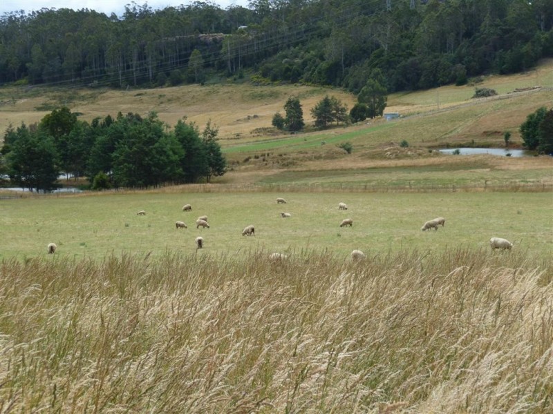 Lot 6/122 Marshall Road, Nook TAS 7306