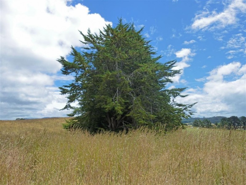 Lot 6/122 Marshall Road, Nook TAS 7306