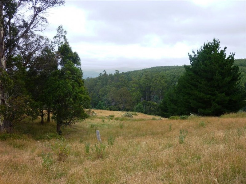 154 Goodland Road, Wilmot TAS 7310