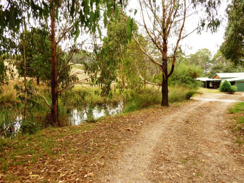 10 Billing Road, Sheffield TAS 7306