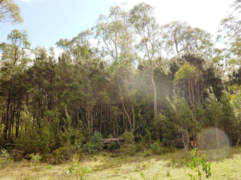 . Cradle Mountain Road, Moina TAS 7310