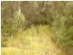 . Cradle Mountain Road, Moina TAS 7310