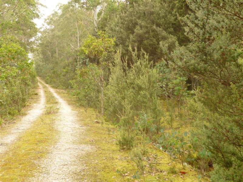 . Cradle Mountain Road, Moina TAS 7310