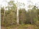. Cradle Mountain Road, Moina TAS 7310