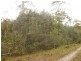 . Cradle Mountain Road, Moina TAS 7310