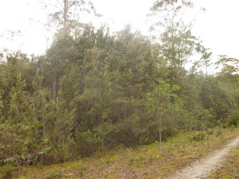 . Cradle Mountain Road, Moina TAS 7310