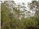 . Cradle Mountain Road, Moina TAS 7310