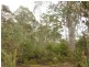 . Cradle Mountain Road, Moina TAS 7310