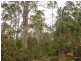 . Cradle Mountain Road, Moina TAS 7310