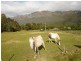 1069 Staverton Road, STAVERTON, Sheffield TAS 7306