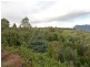 1069 Staverton Road, STAVERTON, Sheffield TAS 7306