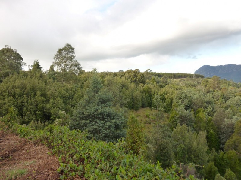 1069 Staverton Road, STAVERTON, Sheffield TAS 7306