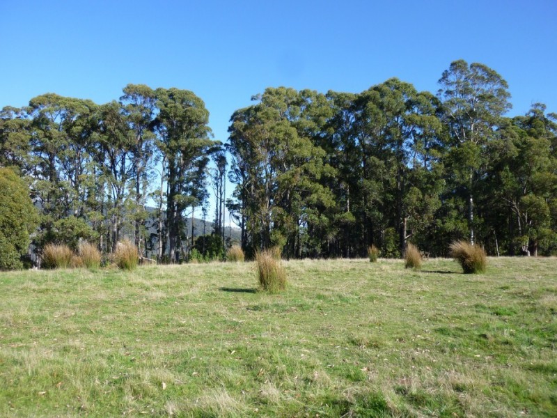 49 Hendersons Road, Barrington TAS 7306