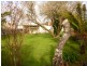 97 Main Street, Sheffield TAS 7306