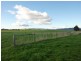 135 Barrington Road, Barrington TAS 7306