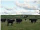 135 Barrington Road, Barrington TAS 7306