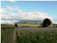 135 Barrington Road, Barrington TAS 7306