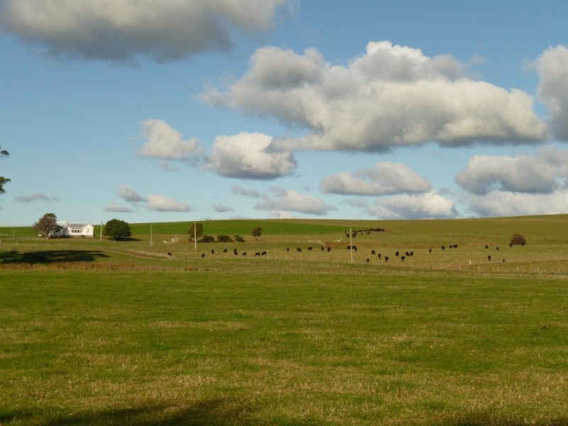 135 Barrington Road, Barrington TAS 7306