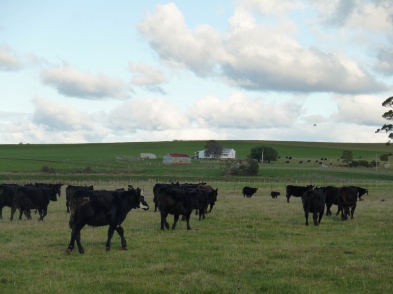 135 Barrington Road, Barrington TAS 7306