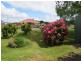 135 Barrington Road, Barrington TAS 7306