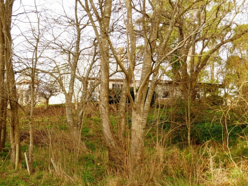 730 Nook Road, Nook TAS 7306