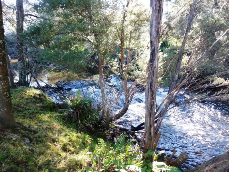 67 Short Cut Road, Paradise, Sheffield TAS 7306