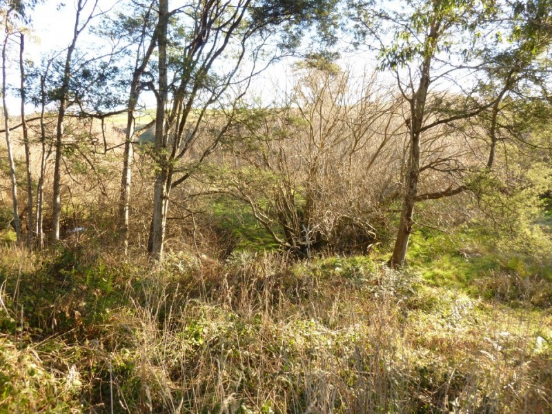 . Sheffield Road, Sheffield TAS 7306