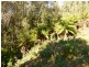 Lot 12276 Foleys Road, Claude Road TAS 7306