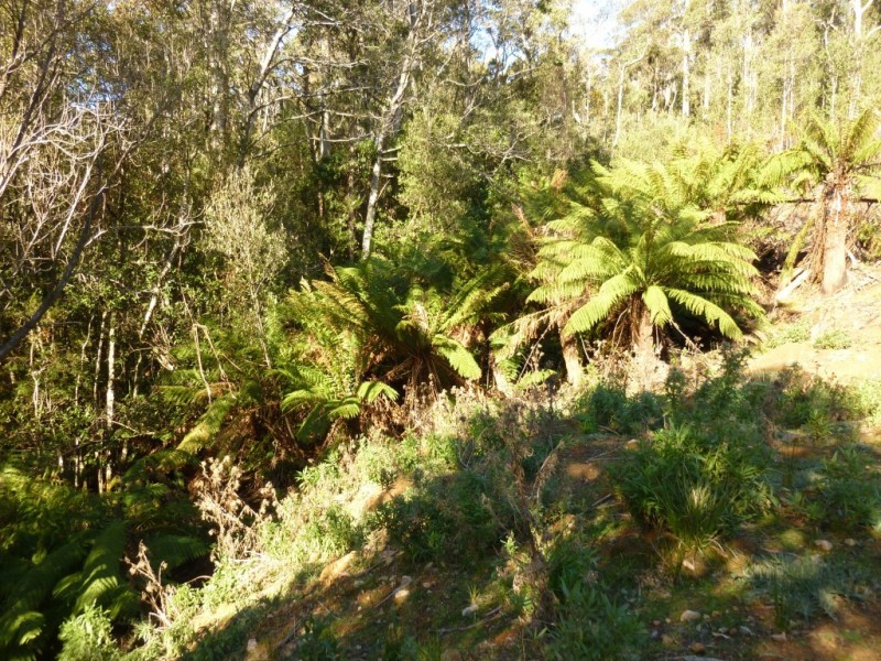 Lot 12276 Foleys Road, Claude Road TAS 7306