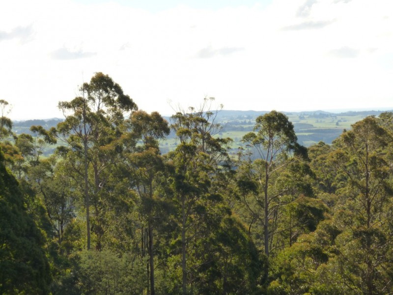 Lot 12276 Foleys Road, Claude Road TAS 7306