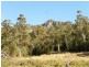 Lot 12276 Foleys Road, Claude Road TAS 7306