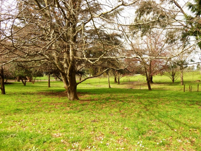 1345 Railton Road, Merseylea TAS 7305