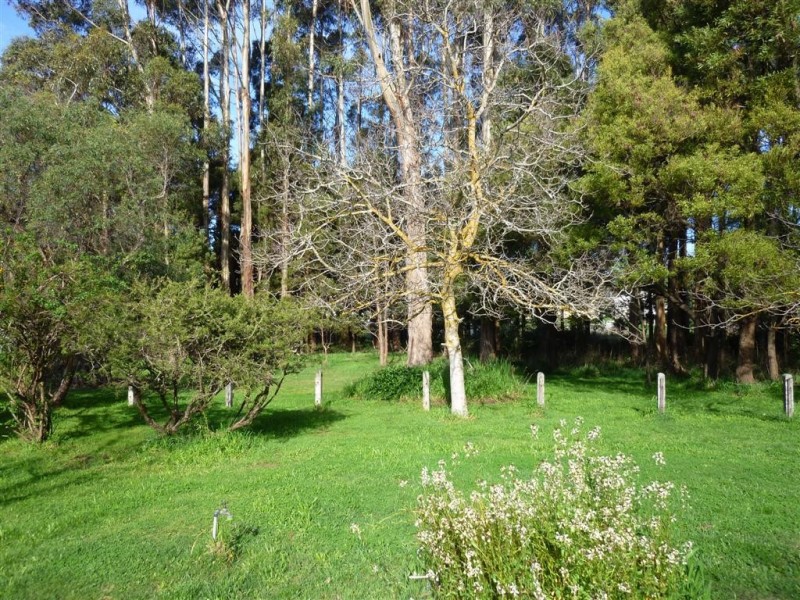 35 Morrison Street, Railton TAS 7305