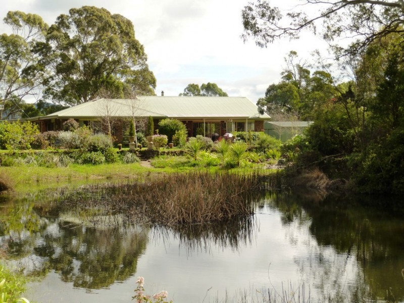259 Stoodley Road, Stoodley, Sheffield TAS 7306