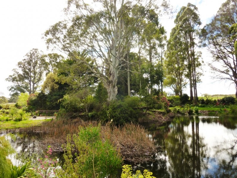 259 Stoodley Road, Stoodley, Sheffield TAS 7306