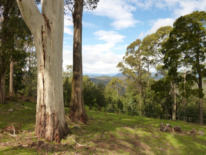 259 Stoodley Road, Stoodley, Sheffield TAS 7306